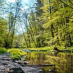 Glamping Nad Meandry V Jurte 럭셔리텐트
