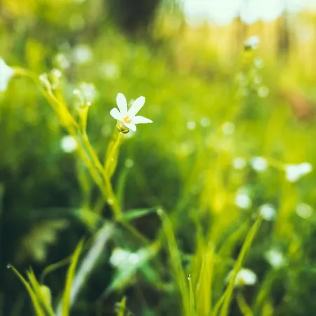 Luxuszelt Glamping Nad Meandry V Jurte *