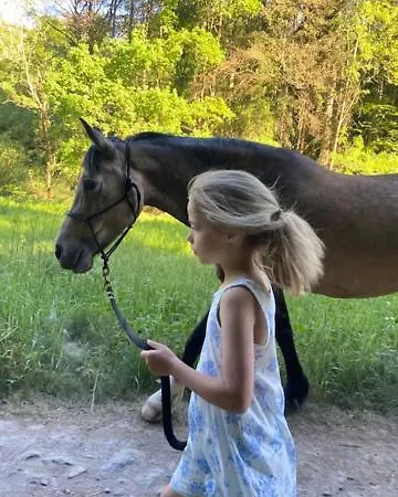 Luxusní stan Glamping Nad Meandry V Jurtě