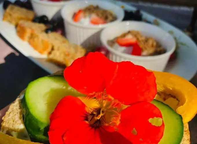 Glamping Nad Meandry V Jurte Chyňava