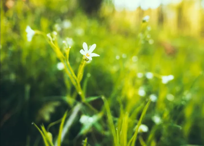 Luxuszelt Glamping Nad Meandry V Jurte *