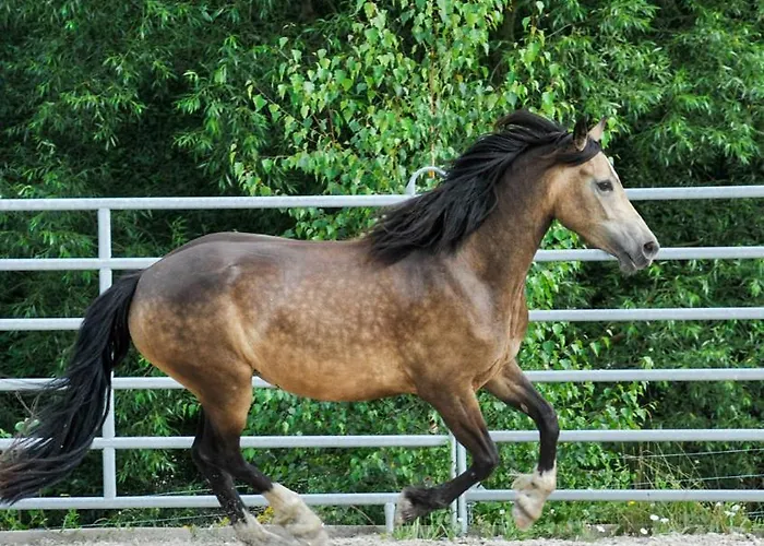 Glamping Nad Meandry V Jurte Luxuszelt *