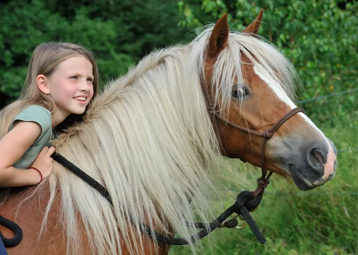 Glamping Nad Meandry V Jurte